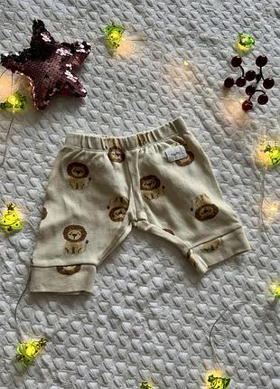 Штани sinsay для новонароджених 56 розмір з левенятами