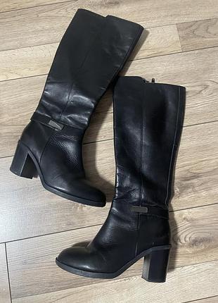 Фіомові чоботи