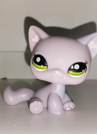 Lps лпс littlest pet shop літтлест пет шоп кішка фігурка іграшка фігурки іграшки кішечка котик киця litlest pet shop pets shop petshop пет шопс петшоп