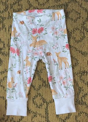 Штаны tu 6-9 мес