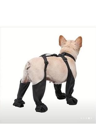 Черевики для собак