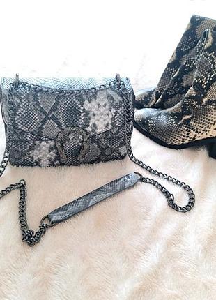Нові демосезонні чоботи+нова сумочка зі зміїним принтом