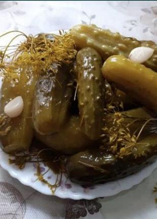 Вкусные квашенные огурчики огурцы без уксуса