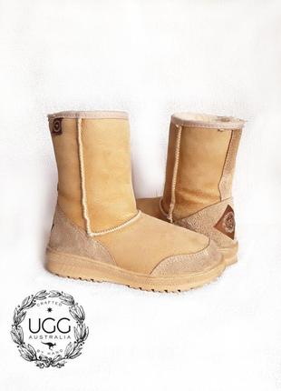 Сапоги ugg .оригинал.