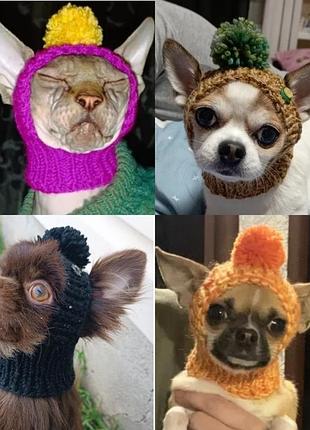 Шапка для собак мелкой породы чихуахуа тот терьер йорк шпиц
