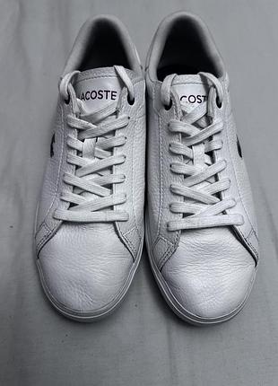 Кеди lacoste sport оригинал
