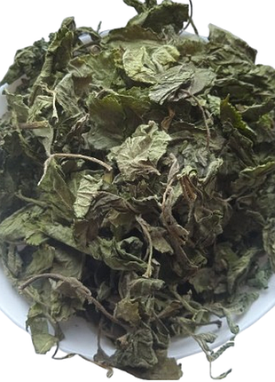 5 кг бузина чорна листя бездерево sambucus nigra