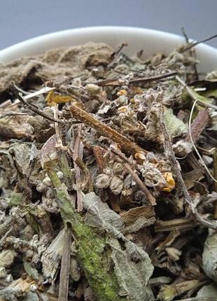 5 кг дивина трава коровяк verbascum phlomoides 3