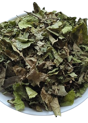 5 кг дуб листя quercus robur