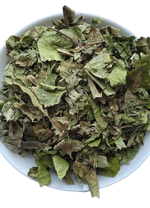 5 кг дуб листя quercus robur 2