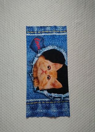 Бафф бафф с котиком