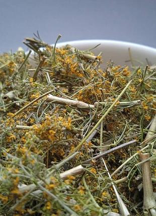 Підмаренник трава сушена galium verum 5 кг 4