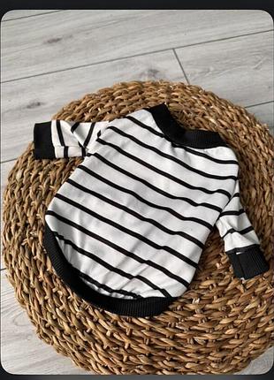 Святшот для собачки