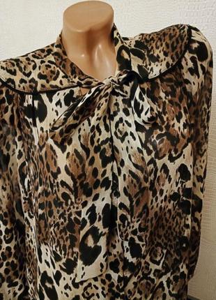 Блуза с леопардовым принтом evans3 фото