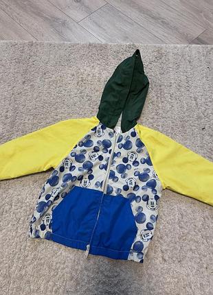 Ветрівка / куртка / zara