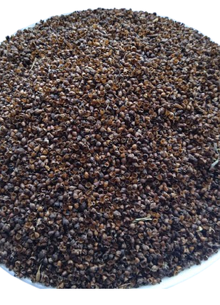 5 кг подорожник великий насіння псиліум бабка порізник ранник plantago major psyllium