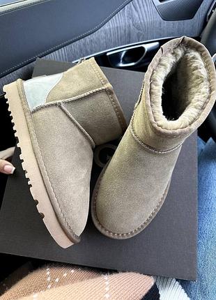 Ugg classic mini mokko suede уггі жіночі розпродаж