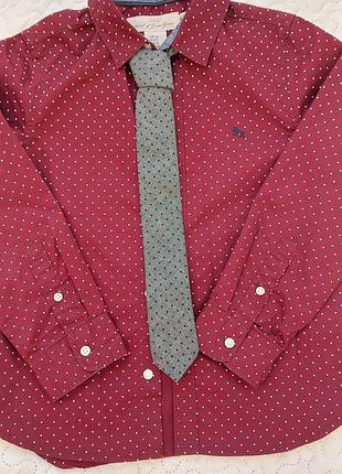 Сорочка для хлопчика 3