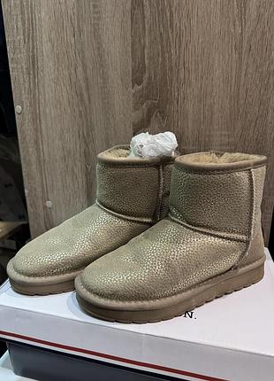 Уггі жіночі ugg