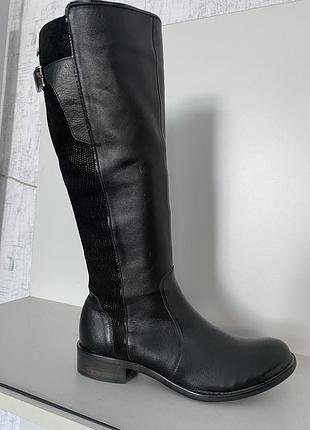 Чоботи жіночі