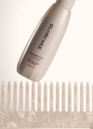 Шампунь для жирного волосся olorchee anti grease shampoo
