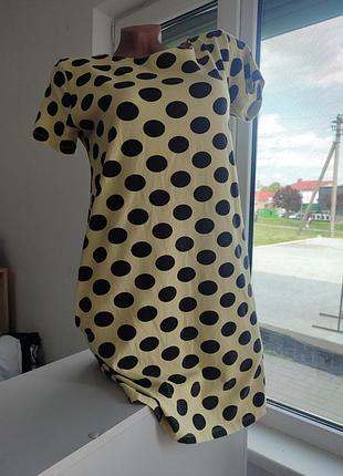 Туніка жіноча