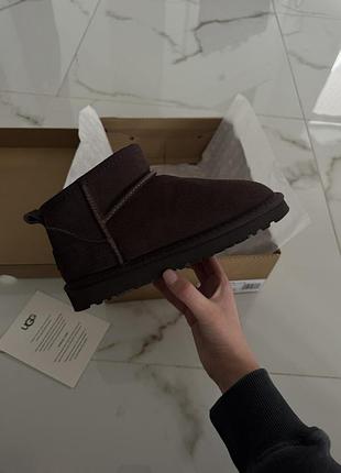 Ugg шоколадного кольору
