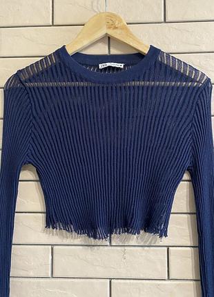 Прозорий укорочений логн.