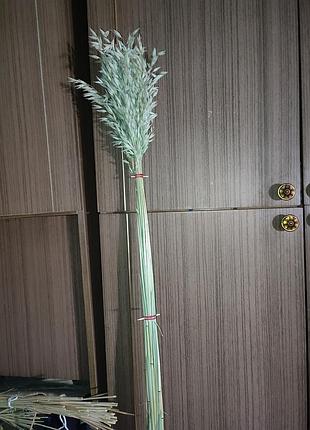 Овес сухоцвет 110 см