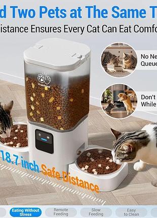 Кормушка для двух животных для двух котов для двух собак смарт кормушка wi-fi