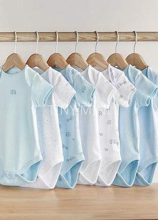 Новенькі боді від next у 68 розмірі, на вік від 3 до 6 місяців