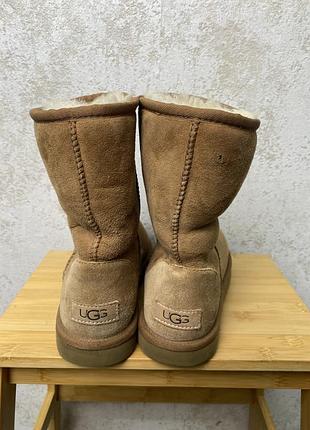 Черевики  ugg 4