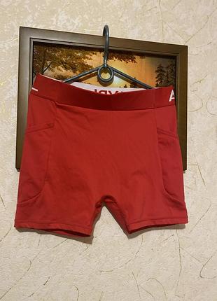 Жіночі спортивні велосипедки  abyl.