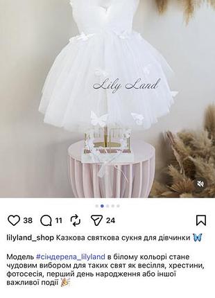 Дитяча сукня для дівчинки нова , небула одягнута ні разу ,замовляли на свято у садочок прийшло із запізненням