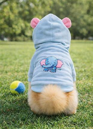 Худи кофта для собаки xs с ушками слоник