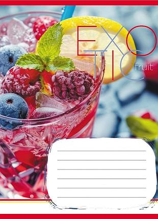 Тетрадь общая "экзотические фрукты" 048-590098k-1 в клеточку, 48 листов