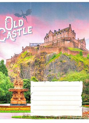 Тетрадь общая "старые замки" 048-600179l-5 в линию, 48 листов (959060)