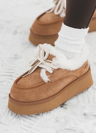 Жіночі черевики/уггі ugg funkarra cabin cuff кольору каштан із замші та овчини