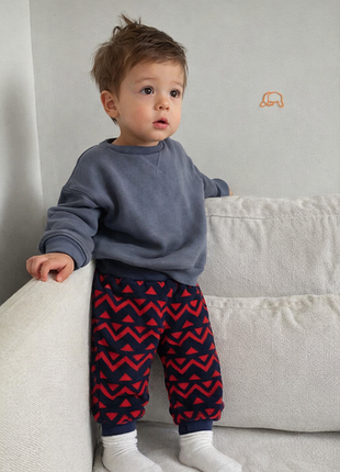 Теплые флисовые брюки