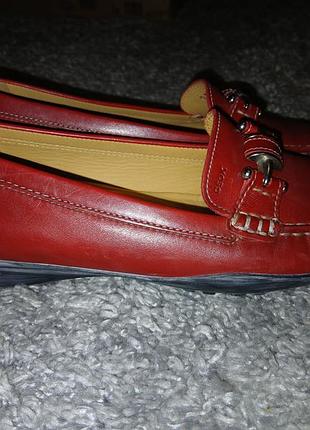 Туфли женские кожа geox размер 38-25см