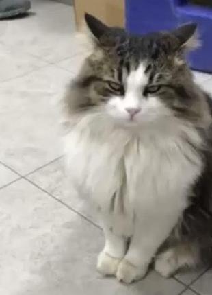 Бєня продукт