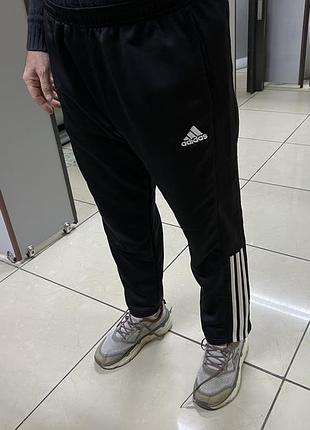 Штагы оригинал