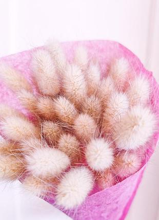 Лагурус (заячьи хвостики) сушеный, натуральный цвет (55шт)