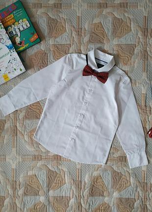 Рубашка для мальчиков 7 лет, 55% хлопок, palomino