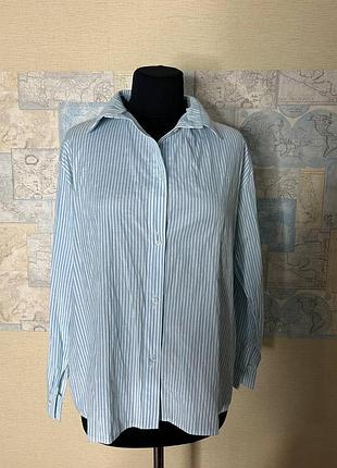 Базова жіноча котонова сорочка рубашка оверсайз