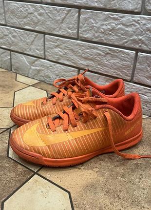 Сороконіжки