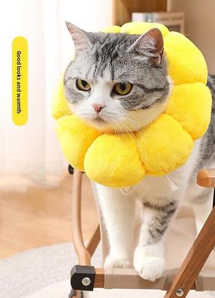 Защитный ветеринарный воротник для котов и собак.