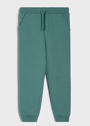Дитячі однотонні штани джоггери з начосом sinsay на хлопчика, 76018