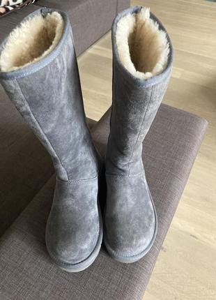 Ботинки зимние ugg2 фото