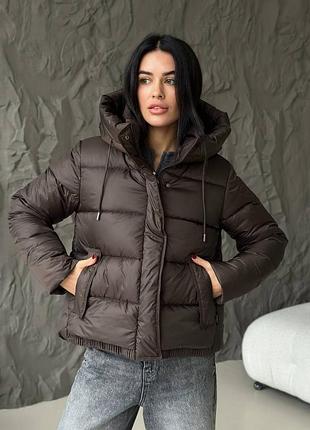 Женская зимняя куртка пуховик с капюшоном